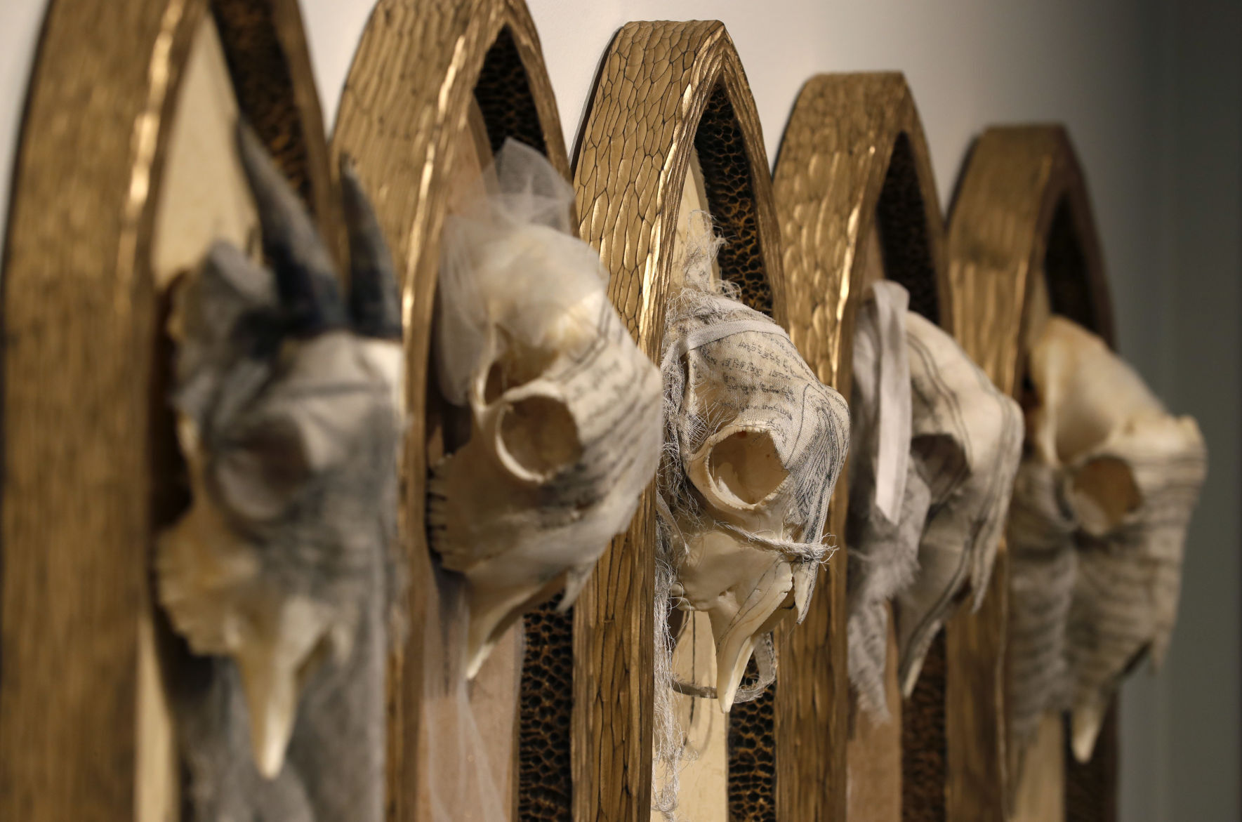 Stapleton Gallery